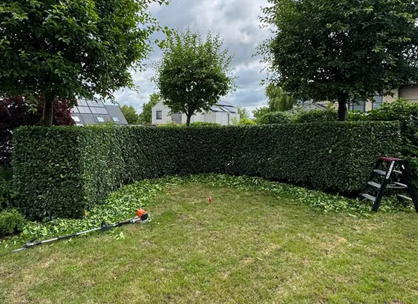 Tuinonderhoud